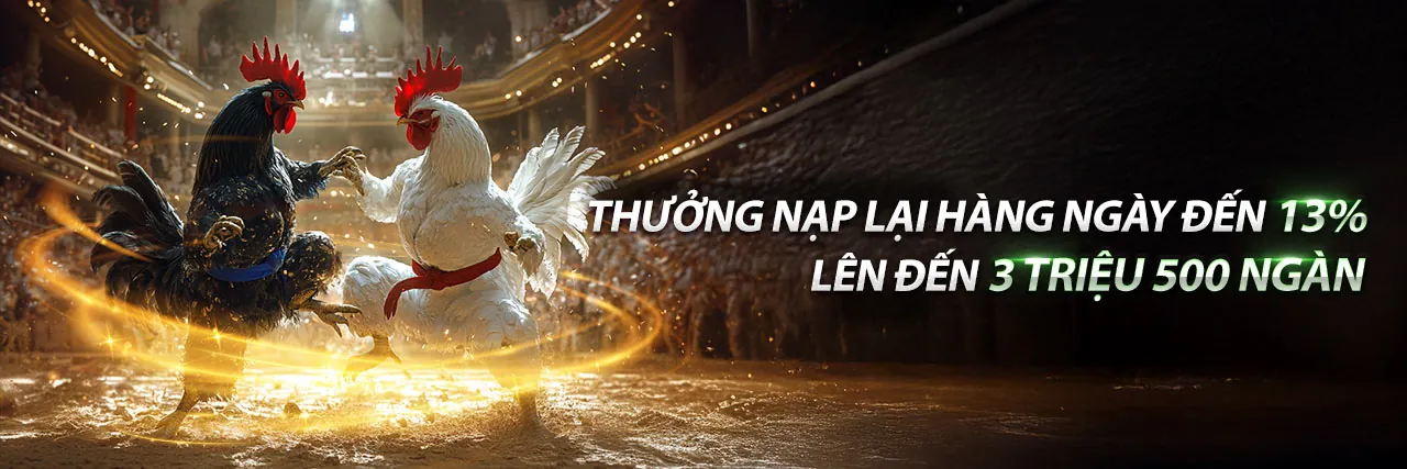 Sân đá gà Thomo sôi động